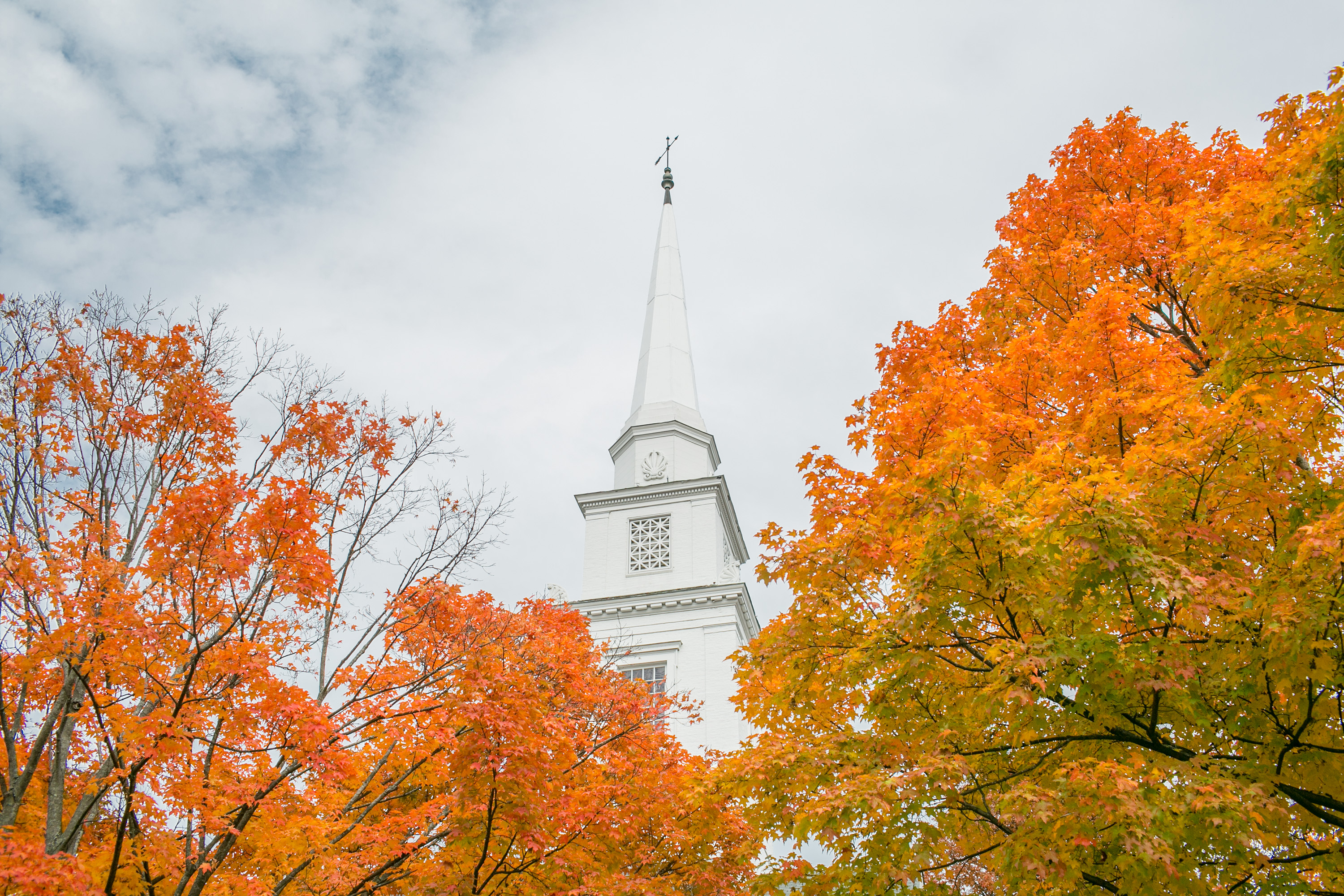 Fall foliage on campus