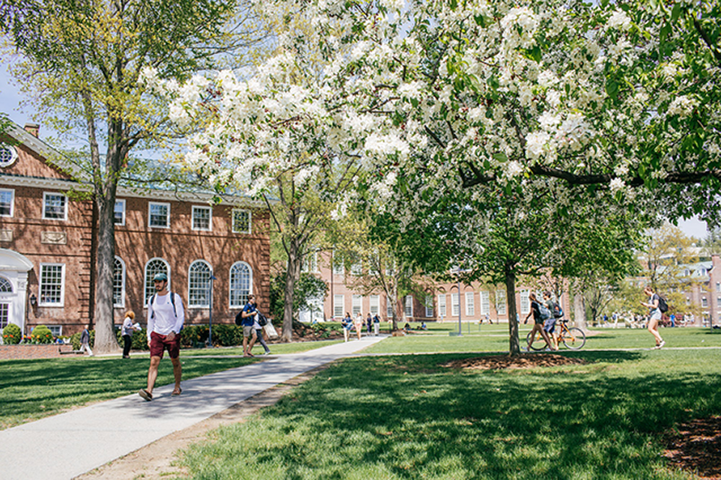 Trees on campus blossom in the spring.